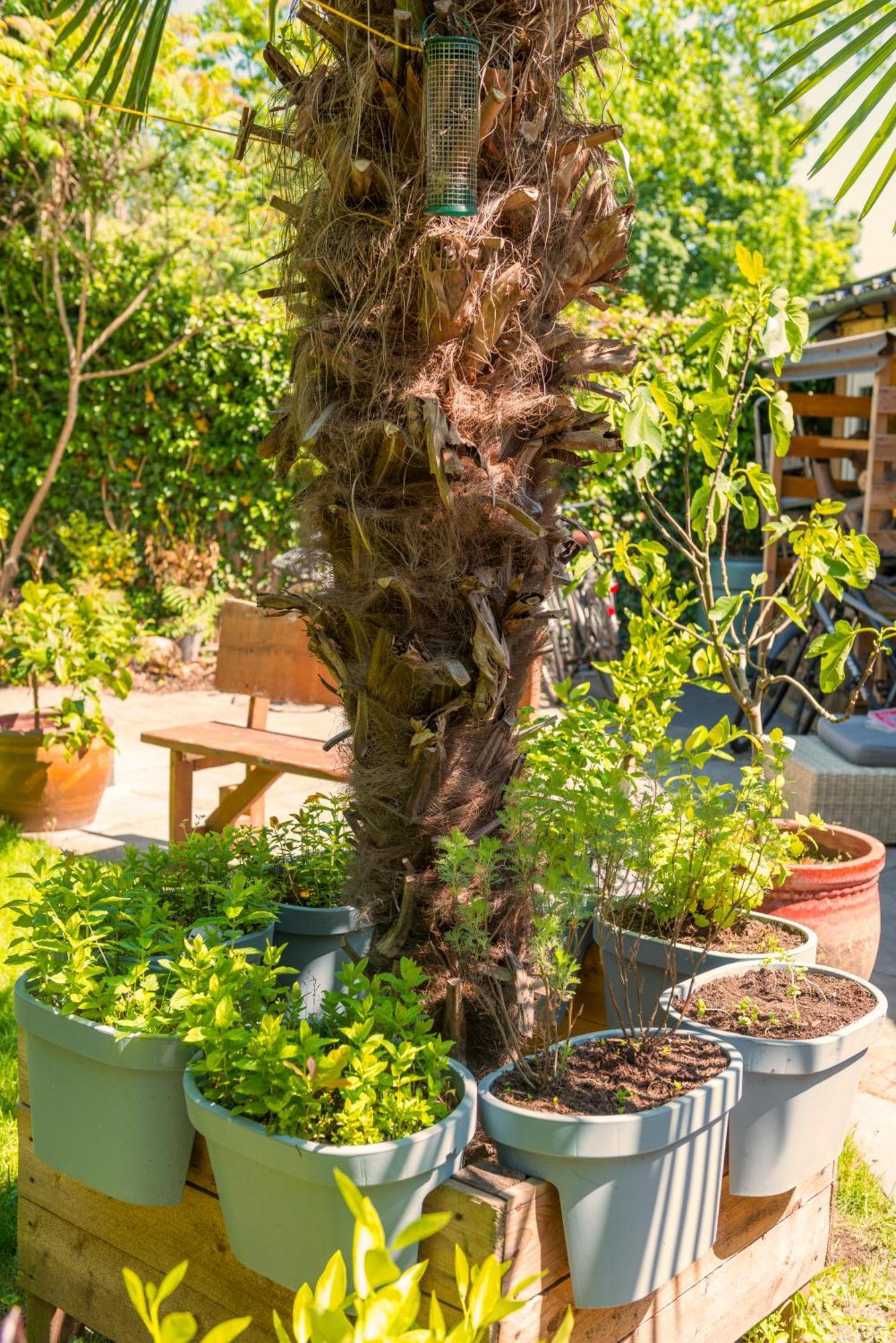 Cozy House - Leenfietsen, Eigen Keuken En Badkamer Nijmegen Dış mekan fotoğraf
