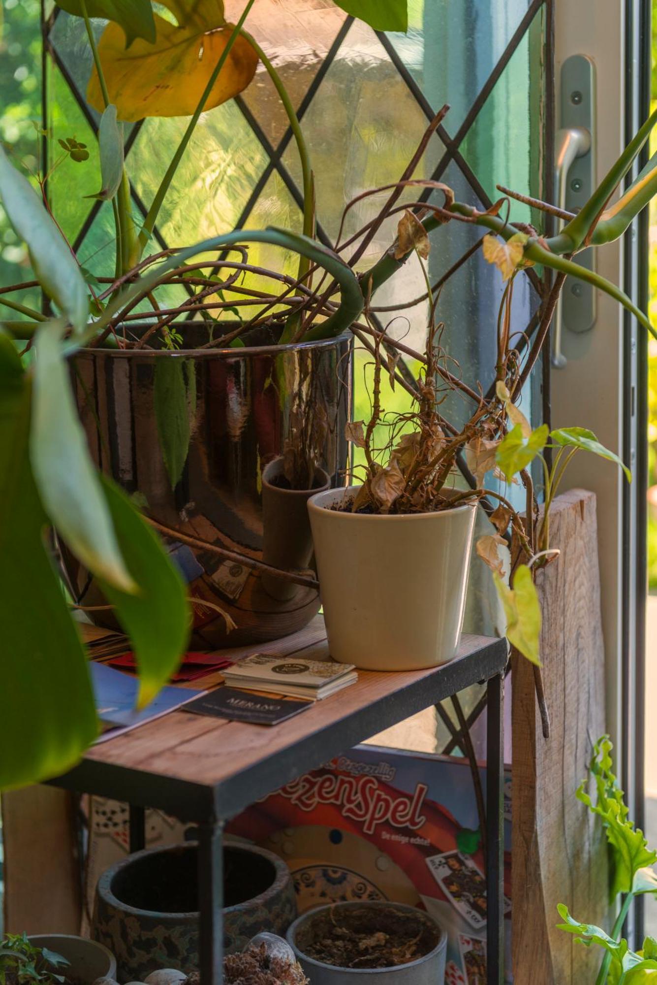 Cozy House - Leenfietsen, Eigen Keuken En Badkamer Nijmegen Dış mekan fotoğraf